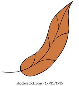 beige leaf with veins, doodle style vector element, black outline