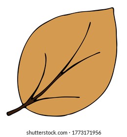beige leaf with veins, doodle style vector element, black outline