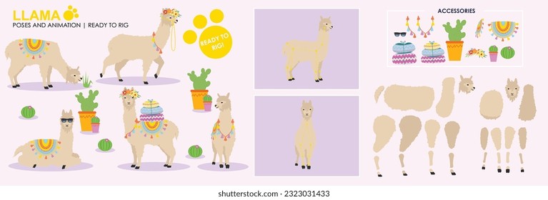 Beige Llama Alpaca cartoon character ready to rig for animation. Collection, set multiple poses, cute animal vector with accessories. Farm animals rig ready