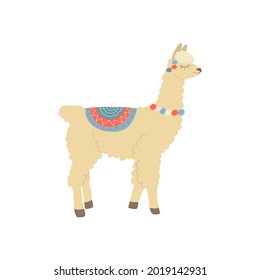 beige llama stands with closed eyes with a rug on his back and colored bubbles on his neck on a white background