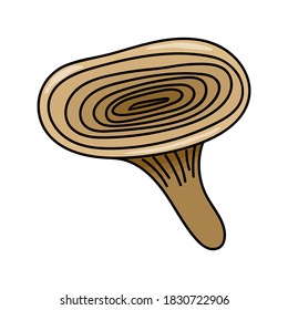 HABITACIÓN BEIGE EN UN FONDO BLANCO EN EL VECTOR