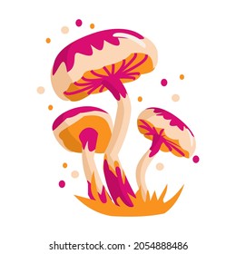 Beige and orange toadstool Magic fantasy mushroom isolated on white background. Cartoon vector illustration