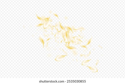 Fondo transparente de Vector desenfocado de melocotón beige. Anuncio blanco de cereza de Japón. Diseño de belleza floral amarillo. Delicado Fondo de pantalla de la mosca del pétalo. Textura tierna de la flor.