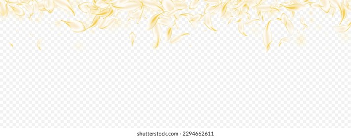 Beige Peach Fall Vector Panoramic Transparent Background. Delicate Flying Sakura Banner. Gold Petal Japan Cover. Light Floral Blur Texture. Beauty Lotus Design.