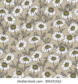 Beige retro background with chamomile flowers, camomile vector illustration