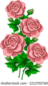 beige rose branch vector illustration,
rose flower on a green stalk with leaves and bud