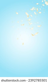 Beige Rose Falling Vector Blue Background. White Summer Lotus Backdrop. Light Blossom Fly Design. Delicate Peach Spring Template. Japanese Sakura Wallpaper.