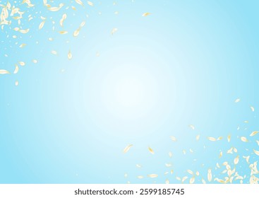 Beige Sakura Blur Vector Blue Background. White Japanese Rose Template. Yellow Lotus Fall Texture. Gold Blossom Falling Poster. Tender Floral Cover.