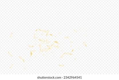 Beige Sakura Fly Vector Transparent Background. Yellow Tender Rose Design. White Flower Japan Wallpaper. Delicate Petal Beauty Backdrop. Summer Peach Template.