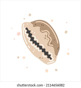 Beige seashell, spotted cypraea shell. Vector flat illustration