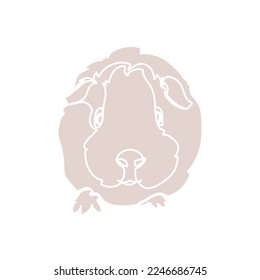 Beige silhouette of the guinea pig on white background. Vector illustration.