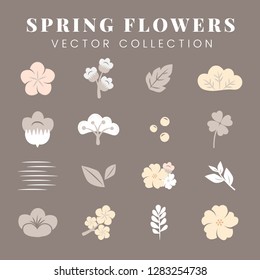 Beige spring flowers vector collection