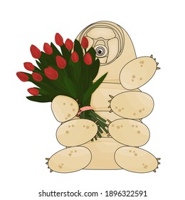 The beige tardigrade holds a bouquet of red tulips, which consists of thirteen flowers. Gift is tied with pink polka dot ribbon. Animal is isolated on white background