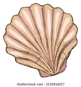 Vela de vieiras beige-rosada aislada en un fondo transparente. Dodo vector de color dibujado a mano con contorno áspero