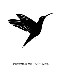 Beija flor colibri hummingbird icon | Black Vector illustration |