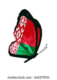 Belarus flag butterfly - vector