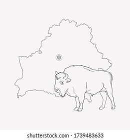 Belarus icon line element. Vector illustration of belarus icon line isolated on clean background for your web mobile app logo design.