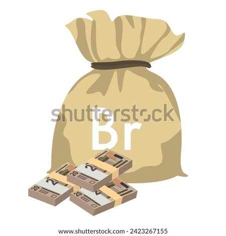 Belarusian ruble Vector Illustration. Belarus money set bundle banknotes. Money bag 20 BYN. Flat style. Isolated on white background. Simple minimal design.