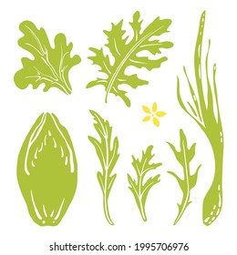 Belgian endive, lettuce, kale, rocket salad, spring onion. Paper cut collection of green culinary herbs and vegetables isolated on white background. Doodle hand drawn fruits. Vector illustration