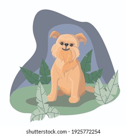 La parrilla belga se sienta en el suelo entre los arbustos contra el fondo del cielo. La imagen se puede usar como ilustración para libros infantiles, ropa, prensa, tiendas de mascotas, bienes, clínicas veterinarias.