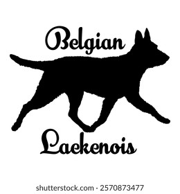 Belgian Laekenois dog silhouette, dog breeds, logo, vector, silhouette,  animal, illustration, icon, sign, design, black, symbol, pet, love
