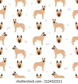 Belgian Laekenois seamless pattern. Different poses, coat colors set.  Vector illustration