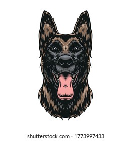 Plantilla vintage de color para perros malinois belgas sobre ilustración vectorial aislada de fondo blanco