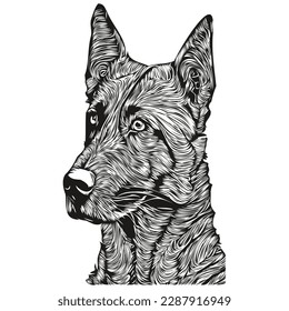 Belgian Malinois dog hand drawn line art vector drawing black and white logo pets illustration
