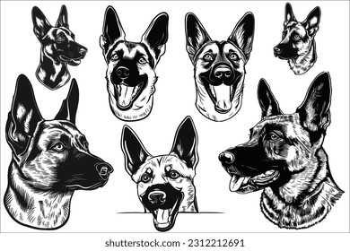 bélgica malinois Dog Head Vector Clipart