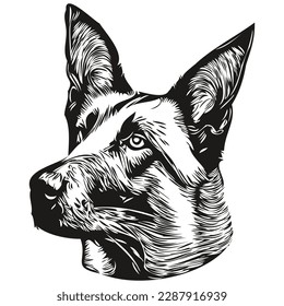 Belgian Malinois dog line art hand drawing vector logo black and white pets illustration
