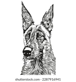 Belgian Malinois dog line art hand drawing vector logo black and white pets illustration
