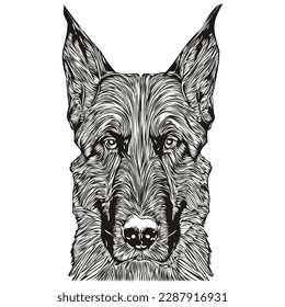 Belgian Malinois dog logo hand drawn line art vector drawing black and white pets illustration
