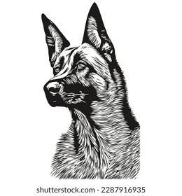 Belgian Malinois dog logo hand drawn line art vector drawing black and white pets illustration
