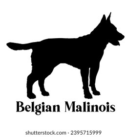 Silueta de perro maliní belga engendra el logotipo de monograma perro cara de perro vector