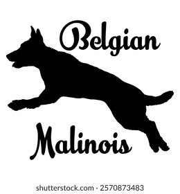 Belgian Malinois dog silhouette, dog breeds, logo, vector, silhouette,  animal, illustration, icon, sign, design, black, symbol, pet, love
