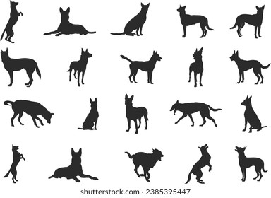 Belgian malinois silhouette, Belgian malinois dog silhouettes, Dog silhouettes, Dog icon, Belgian malinois clipart, Dog vector illustration. svg