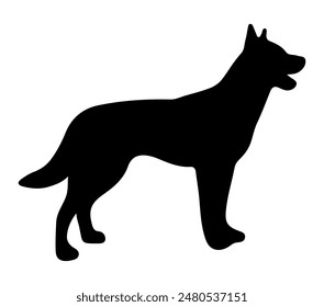 Belgian Malinois Silhouette Stock Vector Illustration.