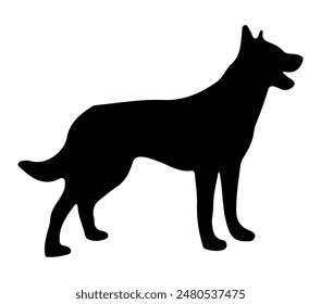 Belgian Malinois vector illustration design art.