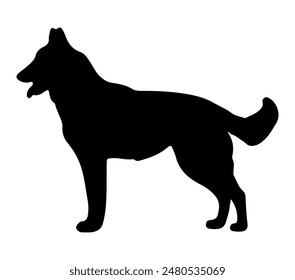 Belgian Malinois vector illustration on white background.