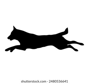 Ilustración vectorial de Malinois belga sobre fondo blanco.