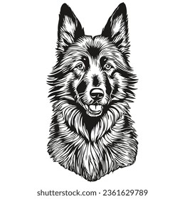 Belgian Sheepdog dog head line drawing vector,hand drawn illustration with transparent background