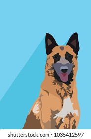 Belgian Shepherd dog