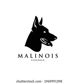 Belgian shepherd dog Malinois face - isolated vector illustration