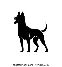 Perro pastor belga Malinois - ilustración vectorial aislada