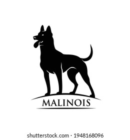 Belgian shepherd dog Malinois - isolated vector illustration svg