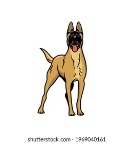 Belgian shepherd dog Malinois - isolated vector illustration