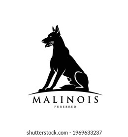 Belgian shepherd dog Malinois - isolated vector illustration