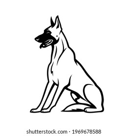 Belgian Shepherd Dog Malinois - Isolated Vector Illustration