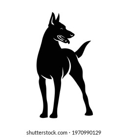 Belgian shepherd dog Malinois - isolated vector illustration