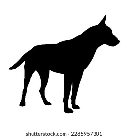 Belgian shepherd Dog silhouette. Dog breeds